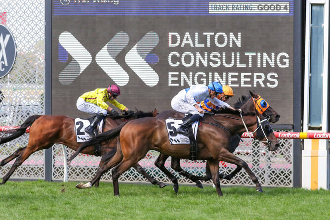 Antrim Coast (closest to camera) prevails in a tight finish over Quintessa to win the Gr.2 Alister Clark Stakes (2040m) at The Valley. - Photo: Bruno Cannatelli
