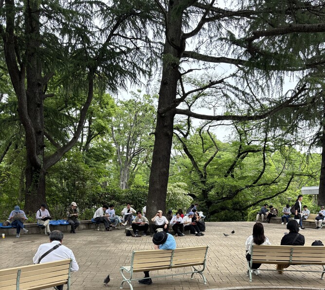 Relaxation in the park.