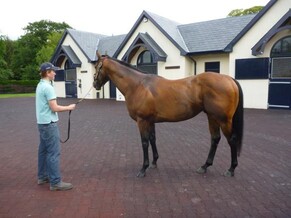 Matt&#039;s Blog - June (wk 4) 2011