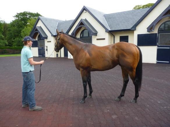 Matt with Duke of Marmalade