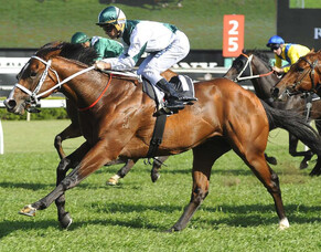 Group One bound duo confirmed for Windsor Park