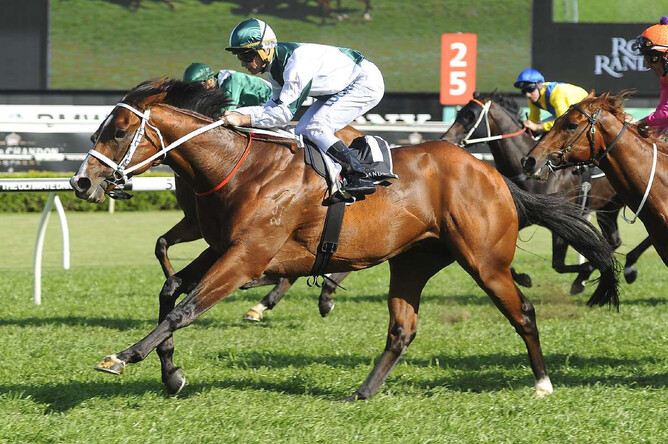 Vanbrugh - Spring Champion Stakes pic.  Bradley Photography