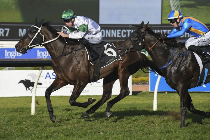 Seaway winning the Listed Winter Challenge (1500m) at Rosehill on Saturday. - Bradley Photography