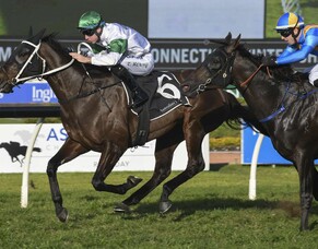 Co-breeder savours Seaway&rsquo;s success