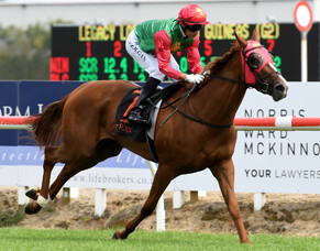 Stellar year for Trelawney continues