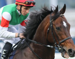 Deep Impact sets new record