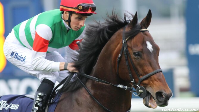 Staphanos has arrived at Novara Park ahead of the 2019 breeding season - Supplied