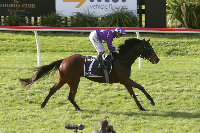 The Good Fight is out on his own at the finish of the Gr.3 Campbell Infrastructure Rotorua Cup (2200m). Photo Credit: Trish Dunell
