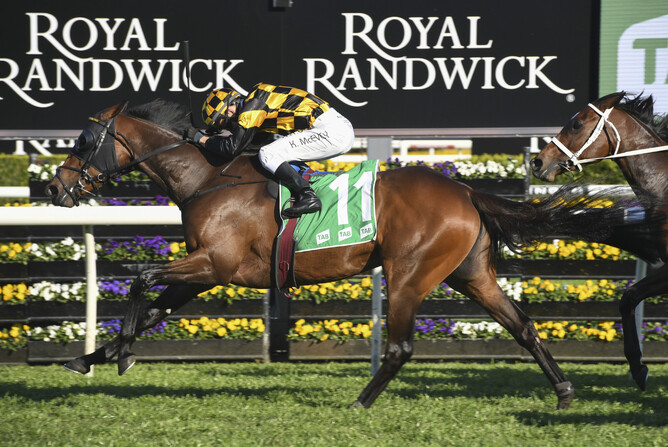 Probabeel, a daughter of super stallion Savabeel, takes out the Gr.1 Epsom Handicap (1600m) at Royal Randwick Photo Credit: Bradleyphotos.com.au