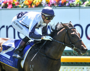 Little Avondale celebrate success with Avonallo