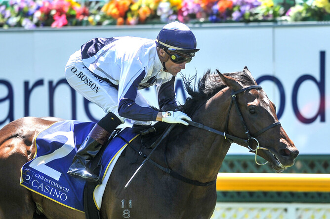 Listed Welcome Stakes winner Avonallo. Photo: Race Images South