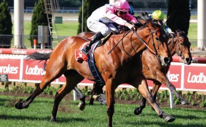 The Inferno strikes at Moonee Valley  winning the Gr.2 Ian McEwan Stakes.  (Bruno Cannatelli)