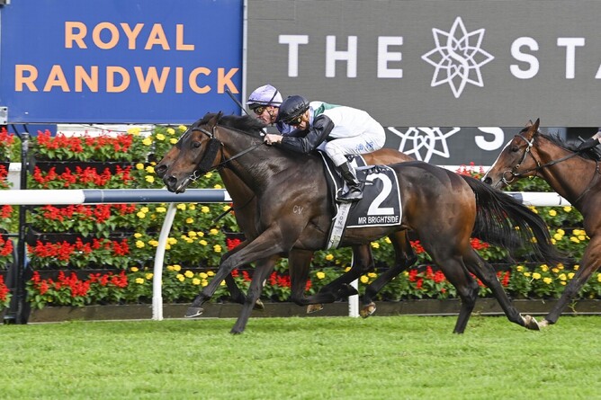 Mr Brightside defends his Gr.1 Star Doncaster Handicap (1600m) title in style at Randwick - Photo: bradleyphotos.com.au
