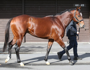 Vespa produces two trial winners