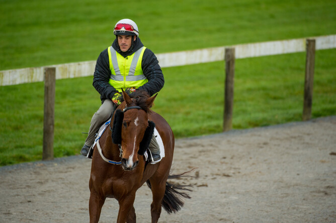 New Zealand trainers will be able to continue to work their horses under government guidelines. Photo: Sharon Chapman