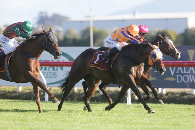 Avantage (middle) is all determination as she takes out the Gr.1 Fiber Fresh New Zealand Thoroughbred Breeders’ Stakes (1600m) at Te Rapa - Photo: Trish Dunell