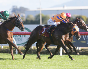 Avantage makes it nine Group One wins with Te Rapa triumph