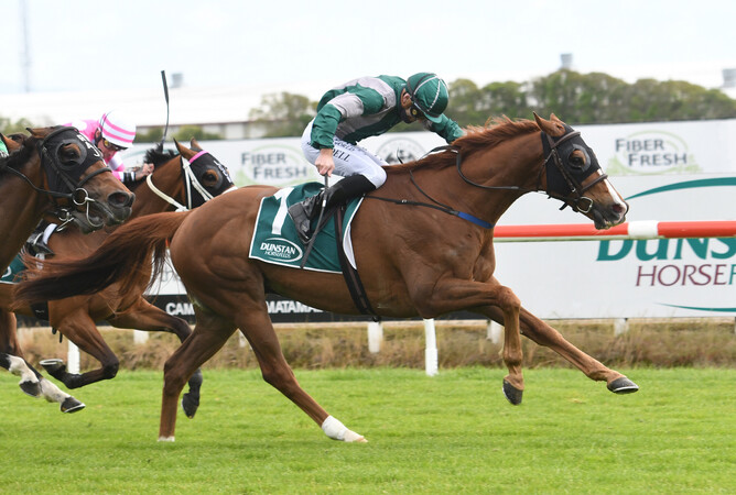 Group Three winner Cheval Prometteur. Photo: Kenton Wright (Race Images)
