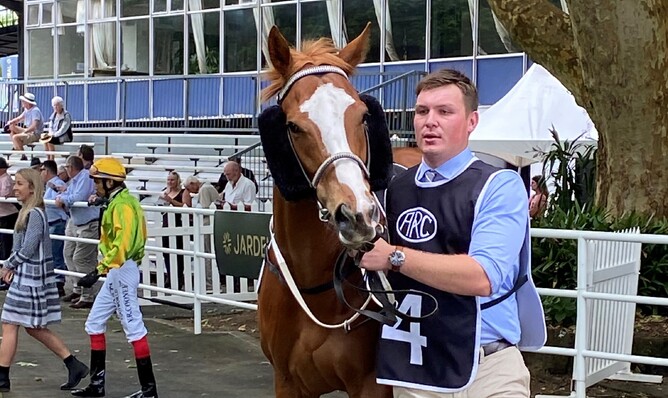 Nathan Trumper strapping Dawnting at Ellerslie. Photo: Supplied