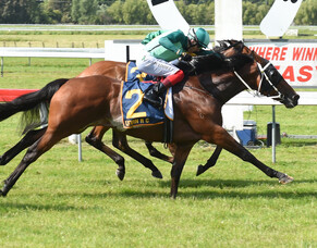 Scorpz salutes in Group Three for Jomara