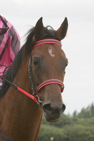 Photo: NZTM website