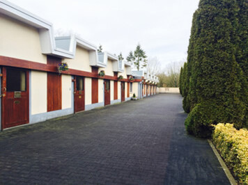 The Irish National Stud’s stallions yard