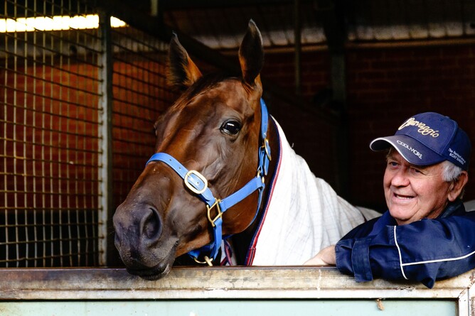 Ken Kelso and his star mare Levante - Photo: Darryl Sherer