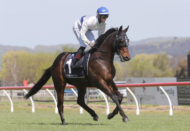 Exciting three-year-old Catalyst. - Trish Dunell