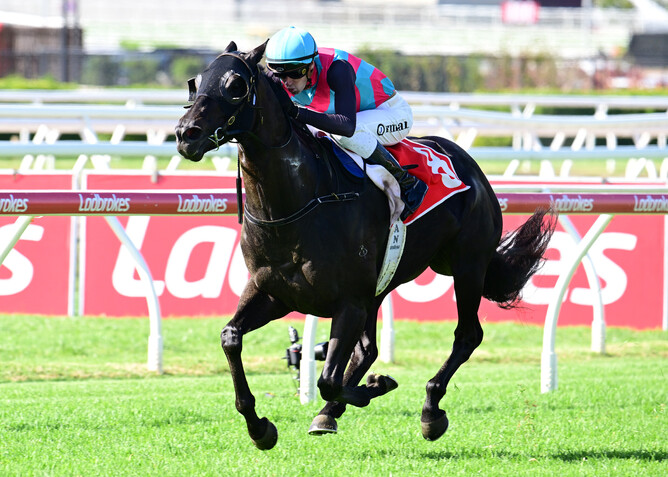 Antino powers to victory in the Listed Wayne Wilson (1600m)  - Photo: Grant Peters