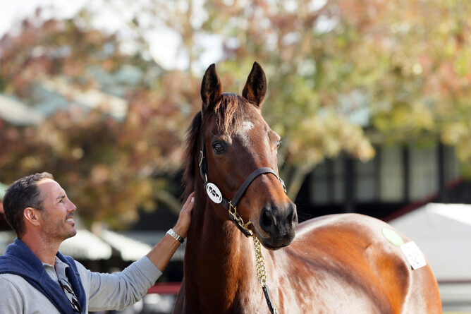 Proud owner Adam Parore with the Zabeel mare All By Myself  - Trish Dunell