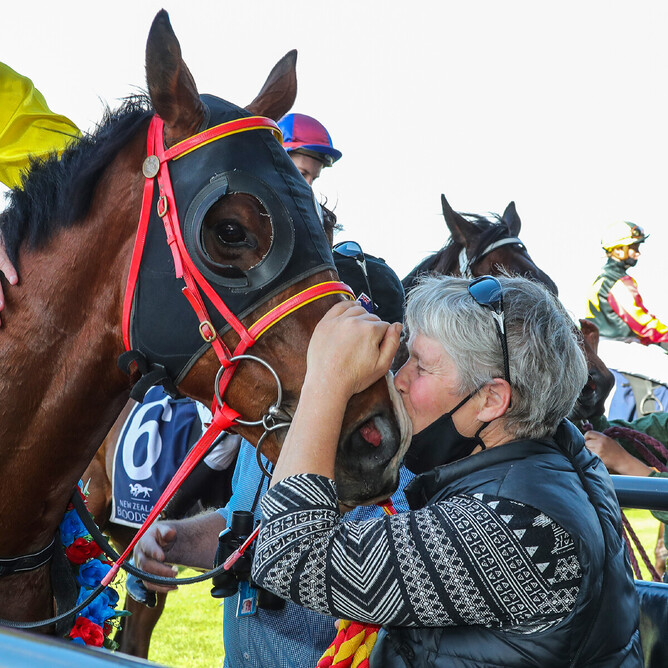 Co-trainer Nikki Blatch gives Mr Intelligence plenty of love after his win at Riccarton Photo Credit: Race Images South