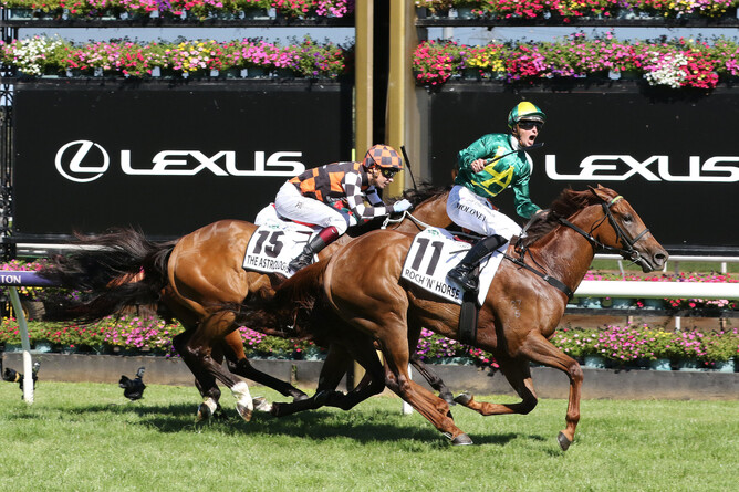 Roch ‘N’ Horse winning the Gr.1 Newmarket Handicap (1200m) at Flemington on Saturday. - Photo: Bruno Cannatelli