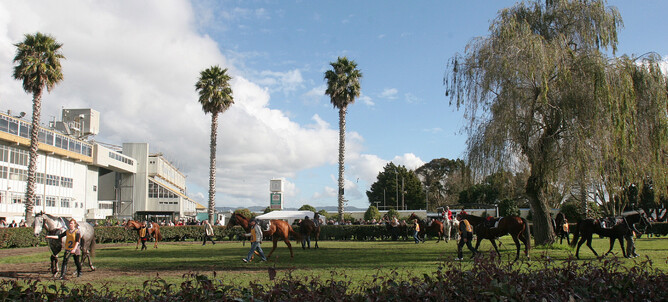 Avondale racecourse is one of 10 thoroughbred racing venues not included in a proposed 2020/21 racing calendar. Photo: Trish Dunell