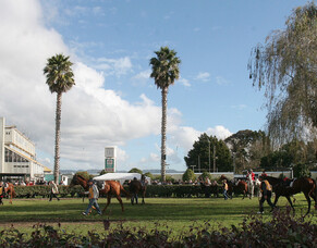 Venues reduced under draft racing calendar proposal