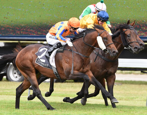 Hall of Fame's win for Canadian based Michael O'Keefe