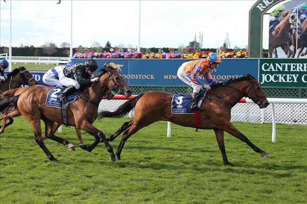 Photo - NZ Racing Desk