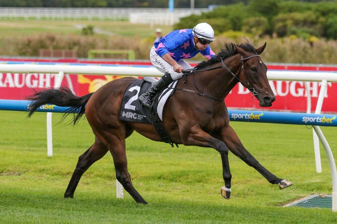 Feroce remains unbeaten following his win at Caulfield.  - Photo: Bruno Cannatelli