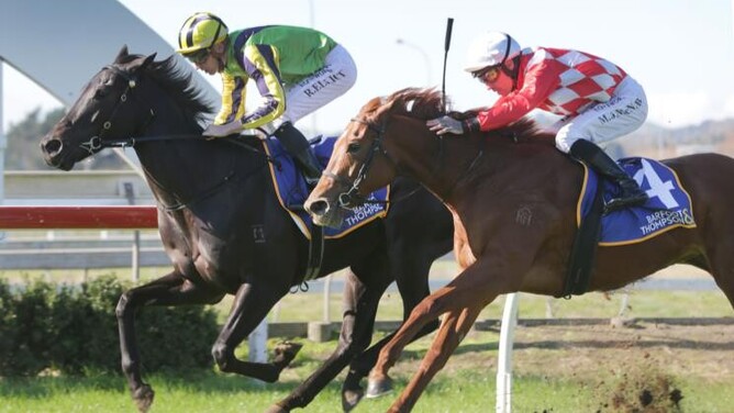Leedox downs Contagious to win the Listed Barfoot & Thompson Auckland Futurity Stakes (1400m)  - Photo: Trish Dunell
