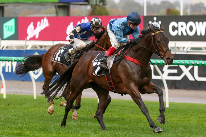 Emma-Lee and David Browne’s homebred Basilinna delivered a valuable breakthrough in Saturday’s A$300,000 Listed Lexus Andrew Ramsden (2800m) at Flemington. - Photo: Bruno Cannatelli