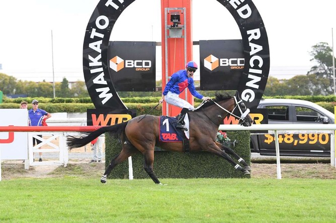 El Vencedor was one of two Group One winners for Rich Hill Stud sire Shocking on Saturday.   - Photo: Kenton Wright (Race Images)