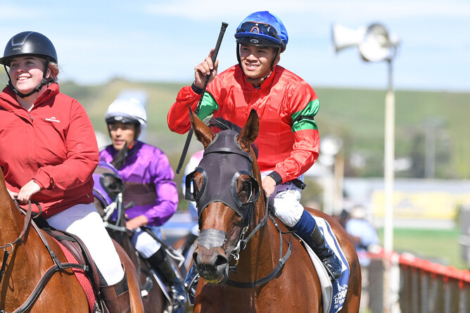 A smiling Joe Kamaruddin brings La Flora Belle back to the Wanganui birdcage  - Photo: Race Images – Peter Rubery