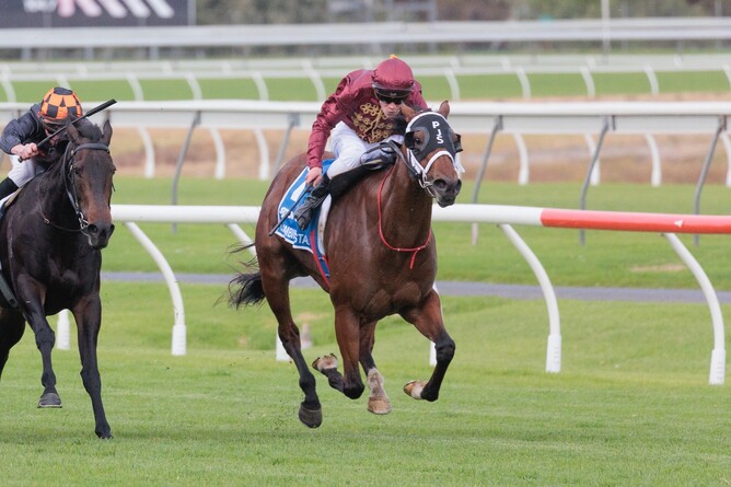 Climbing Star claims Group One honours at Morphettville - Photo: Atkins Photography