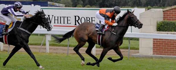 Madam Victoria wins the Listed NZ Bloodstock Airfreight Stakes at Wingatui - Photo NZTM website