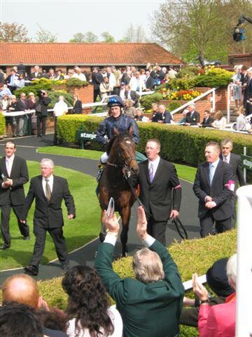 Coolmore's Henrythenavigator  being led back to scale after winnning the English 2000 Guineas