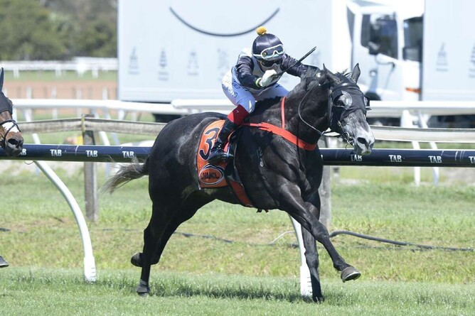 Good Oil will contest Saturday's Listed Mornington Cup (2400m) in Victoria - Photo: Race Images