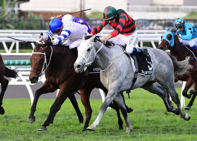 Kukeracha (white and blue silks) edges out Senor Toba in the Gr.1 Queensland Derby (2400m) Photo: Grant Peters (Trackside Photography)