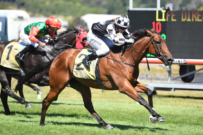 Hazel Schofer gets the best out of Shamus as they combine to win the Gr.2 Life Direct Wellington Guineas (1400m) Photo Credit: Race Images – Peter Rubery