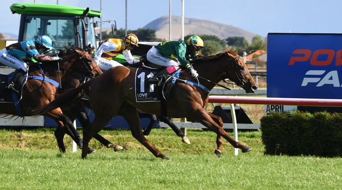 Roch ‘N’ Horse comes with a well-timed run to take out the Listed Power Turf Sprint (1200m) at Hastings Photo Credit: Race Images – Grant Matthew