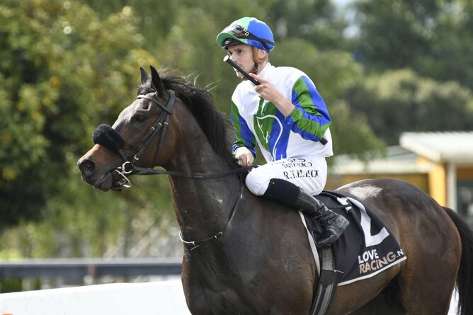 Waikato Stud galloper Magice after winning at Pukekohe on Saturday.   - Photo: Kenton Wright (Race Images)