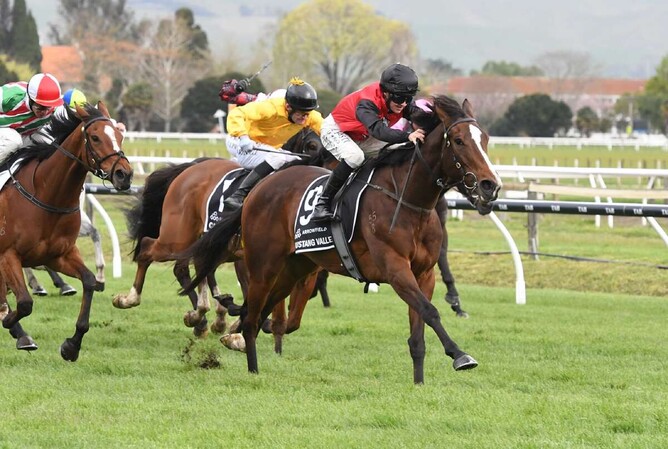 Mustang Valley winning last year's Gr.1 Arrowfield Stud Plate (1600m).  - Photo: Peter Rubery - Race Images